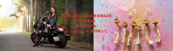 меф Дмитров