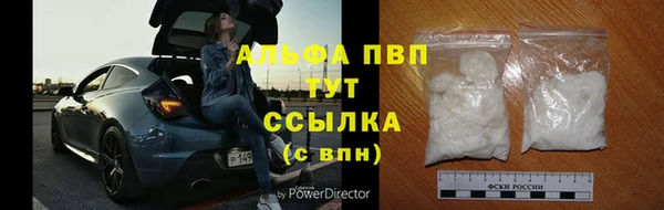 ешки Дмитриев