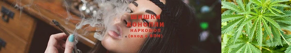 каннабис Гусь-Хрустальный
