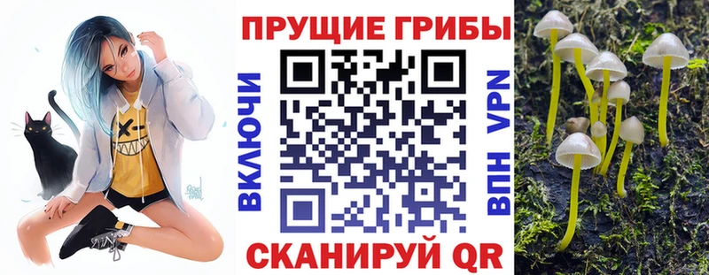 Псилоцибиновые грибы GOLDEN TEACHER  Верещагино 